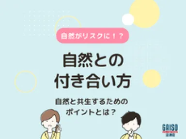【熱海市・湯河原町】自然の豊かさがリスクに？別荘の寿命を左右する「落ち葉」と「樹木」の付き合い方