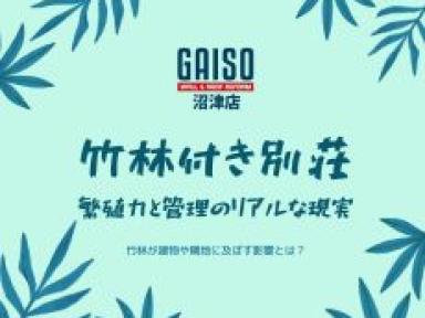 【湯河原町】風情ある「竹林」に惹かれたら読むべき話。繁殖力と管理のリアルな現実
